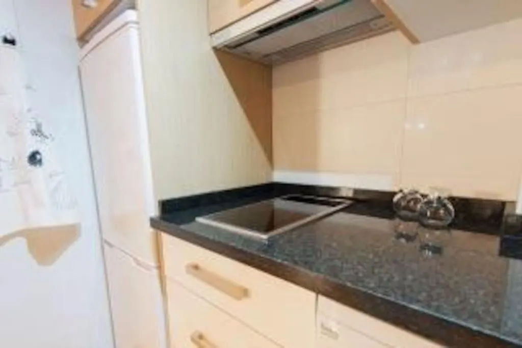 Loft Victoria Apartment Malaga
